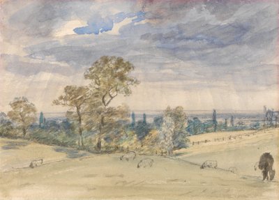 Landschaft in Suffolk von John Constable